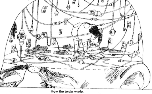 How the brain works — bioelectric signalling